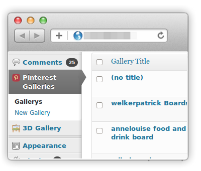 Pinterest to WordPress - WordPress Pinterest Gallery Plugin - 17